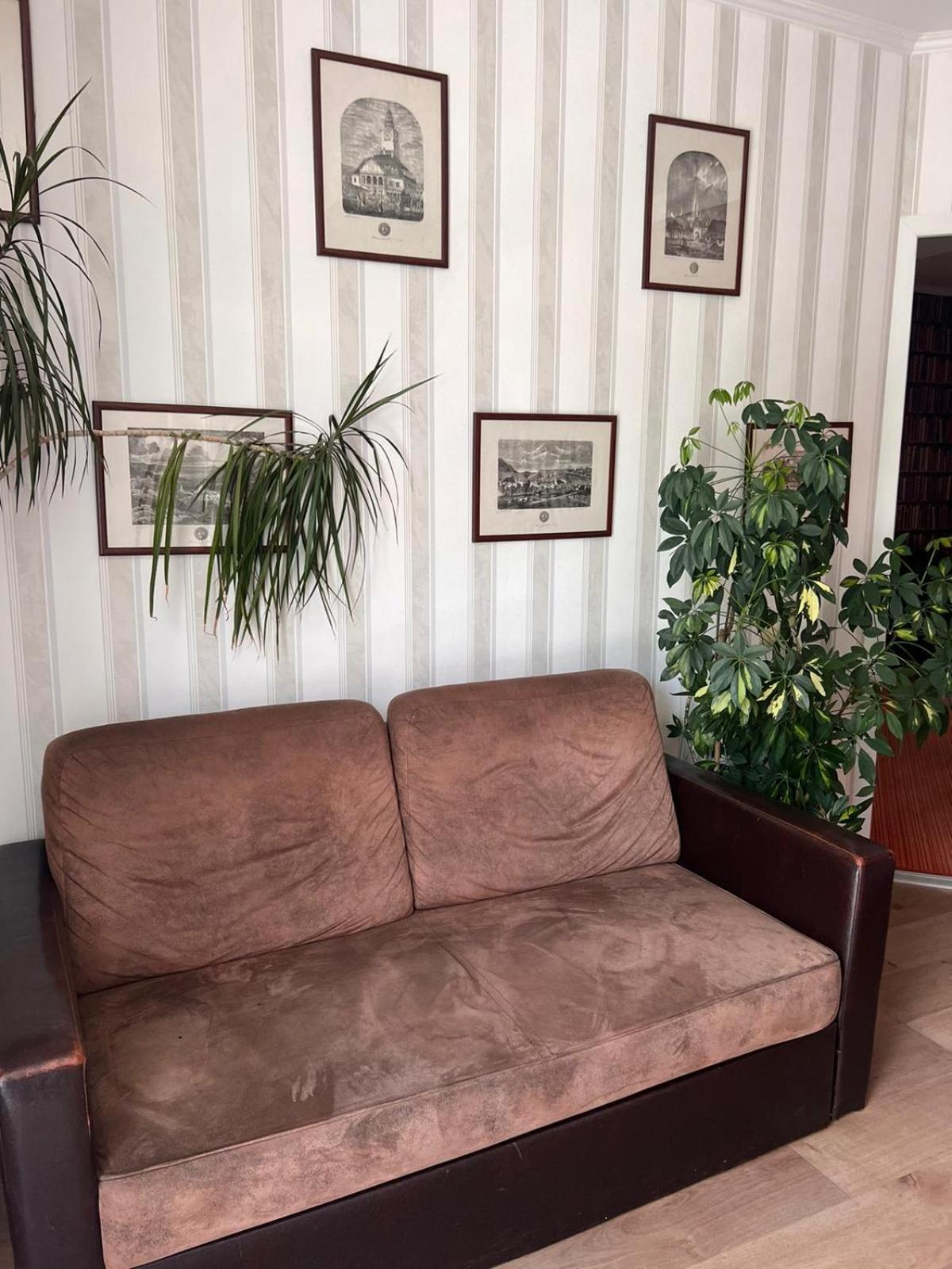 Pension Old City Брашов Екстер'єр фото
