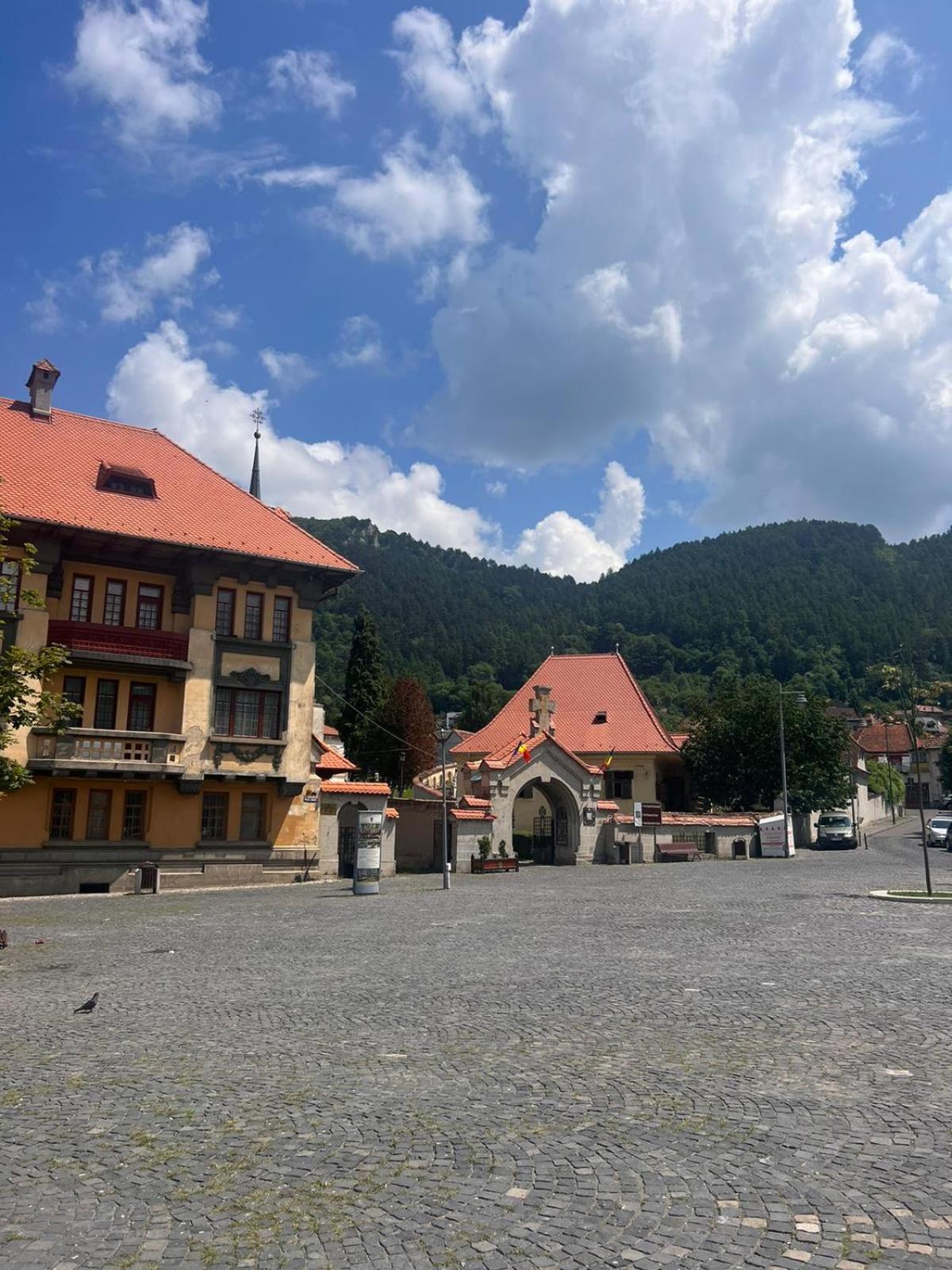 Pension Old City Брашов Екстер'єр фото